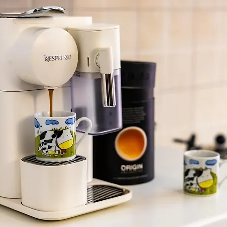 La Rua Ascoli Piceno